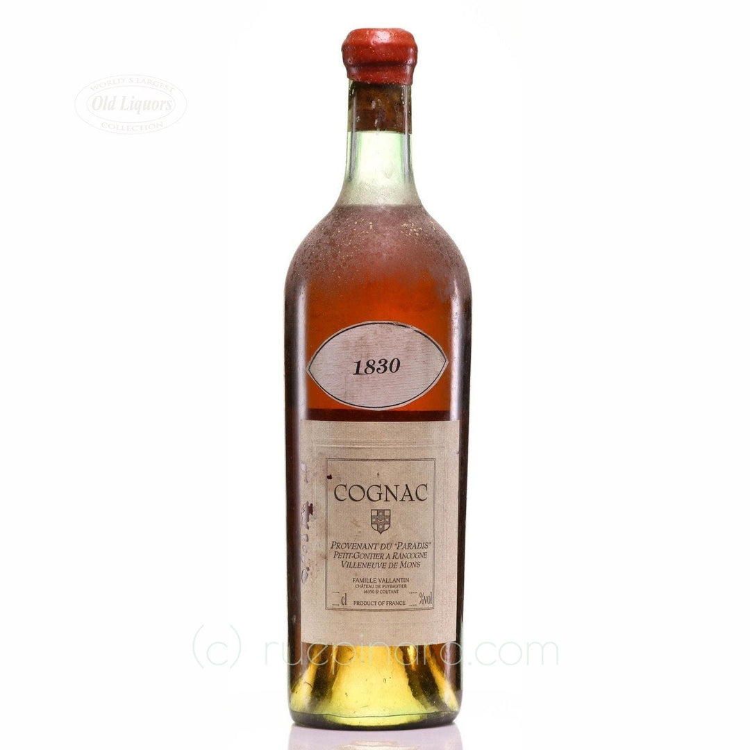 Château de Puybautier 1830 Cognac Petit-Gontier - Rue Pinard
