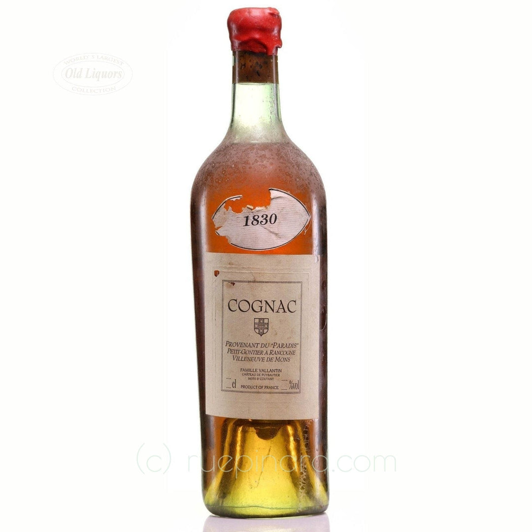Château de Puybautier 1830 Cognac Petit-Gontier - Rue Pinard