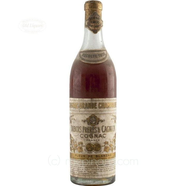 Cognac 1900 Dubois res Cagnion SKU 4210